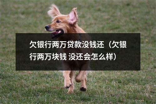 欠银行两万贷款没钱还（欠银行两万块钱 没还会怎么样）