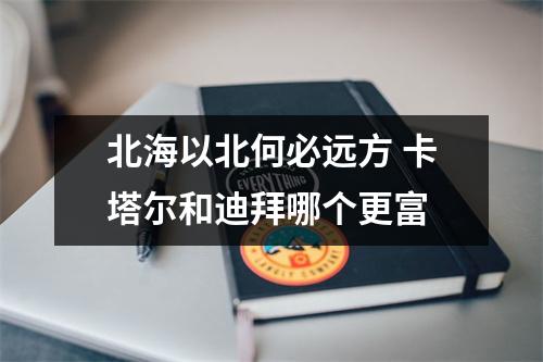 北海以北何必远方 卡塔尔和迪拜哪个更富