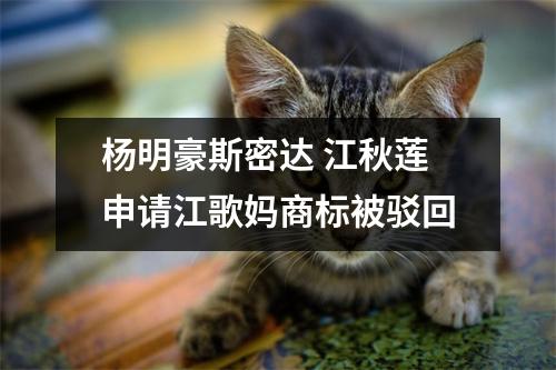 杨明豪斯密达 江秋莲申请江歌妈商标被驳回