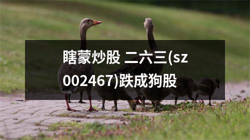 瞎蒙炒股 二六三(sz002467)跌成狗股