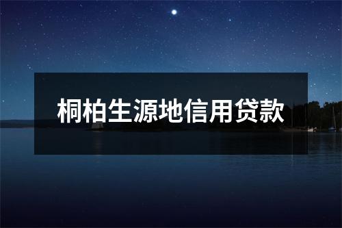 桐柏生源地信用贷款