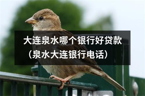 大连泉水哪个银行好贷款（泉水大连银行电话）