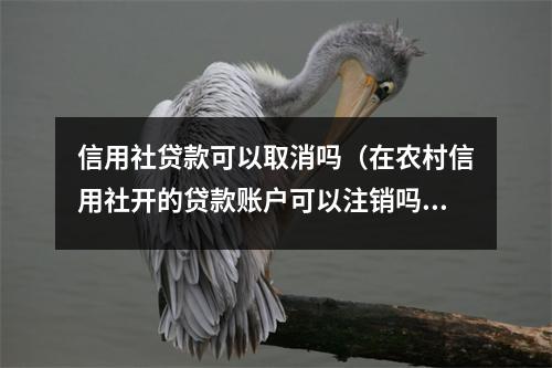信用社贷款可以取消吗(在农村信用社开的贷款账户可以注销吗)