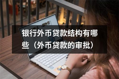 银行外币贷款结构有哪些(外币贷款的审批)