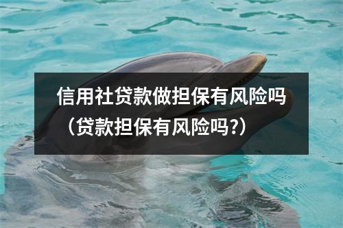 信用社贷款做担保有风险吗（贷款担保有风险吗?）