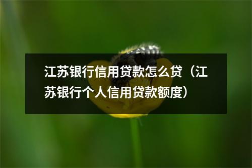 江苏银行信用贷款怎么贷（江苏银行个人信用贷款额度）