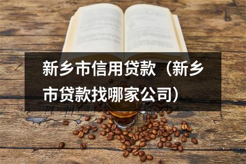 新乡市信用贷款（新乡市贷款找哪家公司）