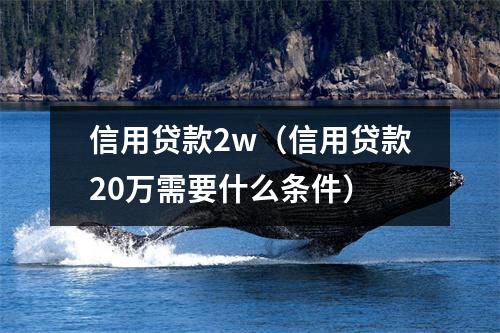 信用贷款2w（信用贷款20万需要什么条件）