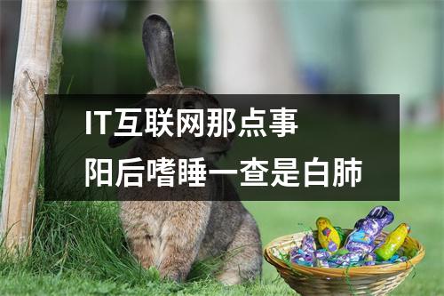 IT互联网那点事 阳后嗜睡一查是白肺