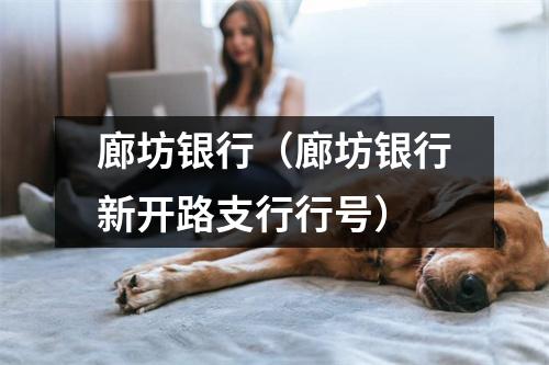 廊坊银行（廊坊银行新开路支行行号）