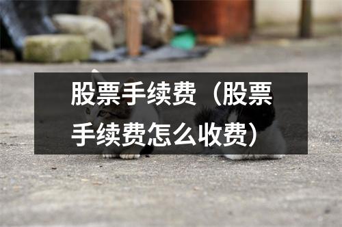 股票手续费（股票手续费怎么收费）