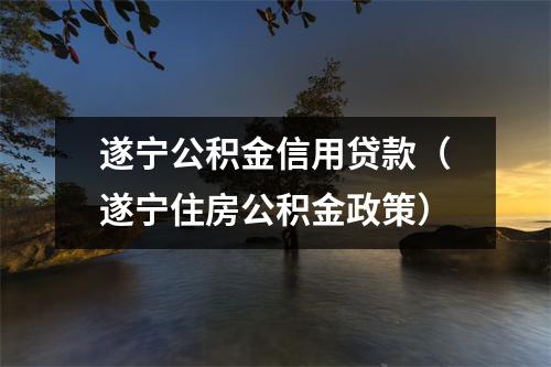 遂宁公积金信用贷款（遂宁住房公积金政策）