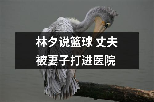 林夕说篮球 丈夫被妻子打进医院