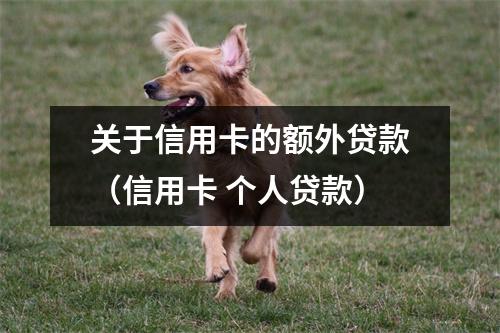 关于信用卡的额外贷款（信用卡 个人贷款）