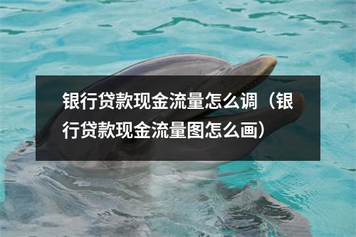 银行贷款现金流量怎么调（银行贷款现金流量图怎么画）