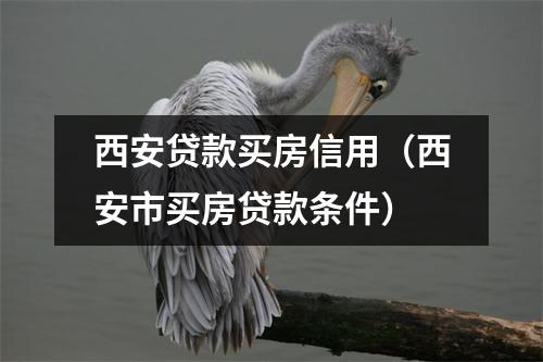 西安贷款买房信用（西安市买房贷款条件）