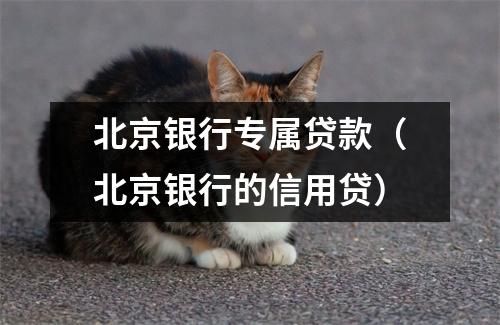 北京银行专属贷款（北京银行的信用贷）