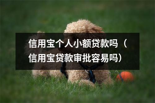 信用宝个人小额贷款吗（信用宝贷款审批容易吗）