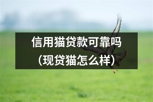 信用猫贷款可靠吗（现贷猫怎么样）