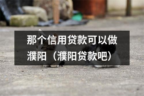 那个信用贷款可以做濮阳（濮阳贷款吧）