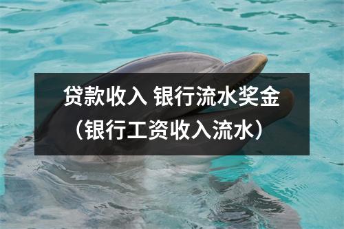 贷款收入 银行流水奖金（银行工资收入流水）