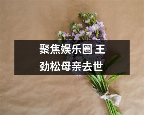 聚焦娱乐圈 王劲松母亲去世