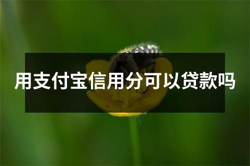 用支付宝信用分可以贷款吗