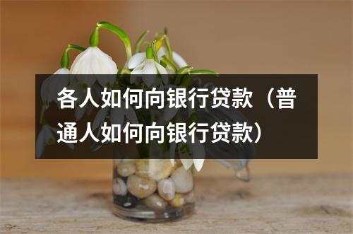 各人如何向银行贷款（普通人如何向银行贷款）