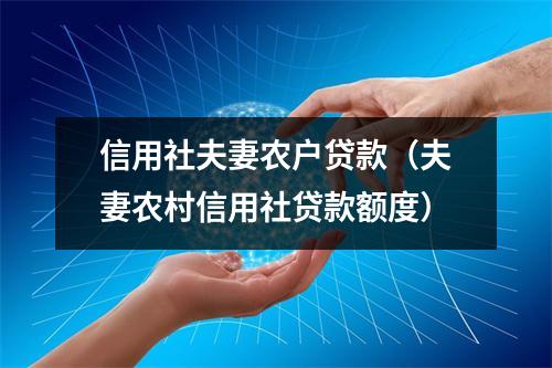 信用社夫妻农户贷款（夫妻农村信用社贷款额度）