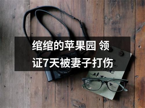 绾绾的苹果园 领证7天被妻子打伤