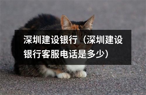 深圳建设银行（深圳建设银行客服电话是多少）