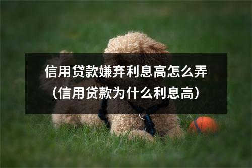 信用贷款嫌弃利息高怎么弄（信用贷款为什么利息高）