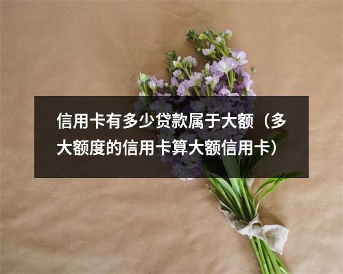 信用卡有多少贷款属于大额(多大额度的信用卡算大额信用卡)
