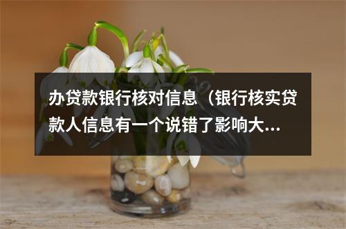 办贷款银行核对信息（银行核实贷款人信息有一个说错了影响大吗）
