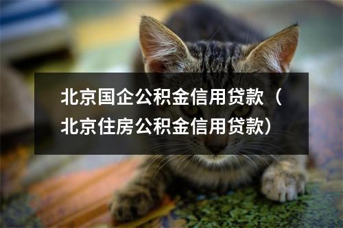 北京国企公积金信用贷款（北京住房公积金信用贷款）