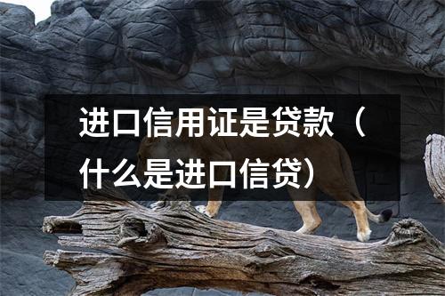 进口信用证是贷款（什么是进口信贷）