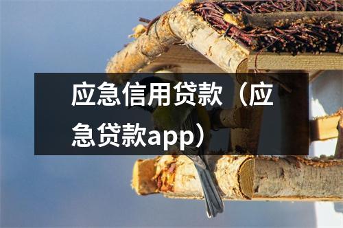 应急信用贷款(应急贷款app)