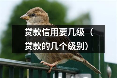 贷款信用要几级（贷款的几个级别）