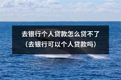 去银行个人贷款怎么贷不了（去银行可以个人贷款吗）