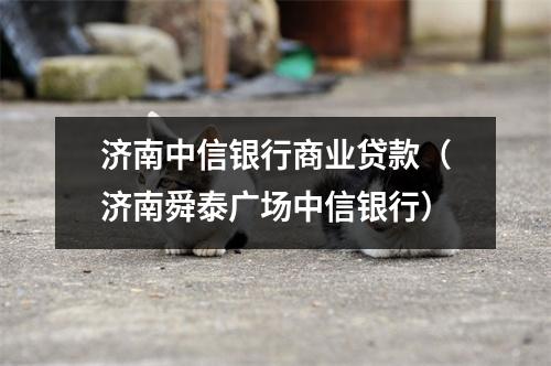 济南中信银行商业贷款（济南舜泰广场中信银行）