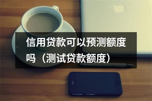 信用贷款可以预测额度吗（测试贷款额度）