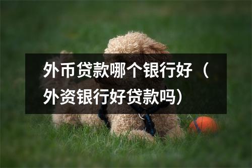 外币贷款哪个银行好（外资银行好贷款吗）
