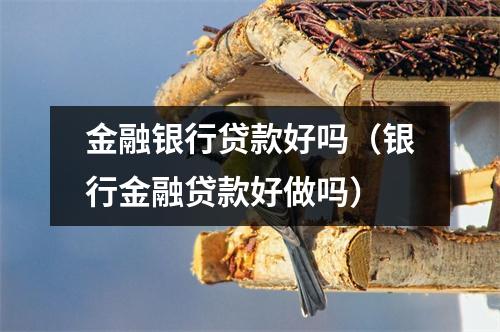 金融银行贷款好吗（银行金融贷款好做吗）
