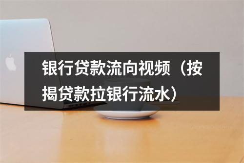 银行贷款流向视频(按揭贷款拉银行流水)