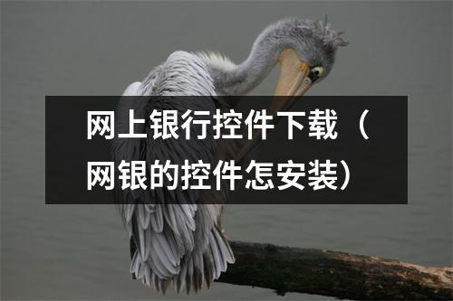 网上银行控件下载（网银的控件怎安装）