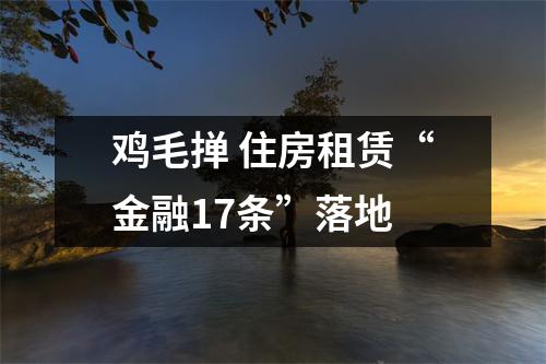 鸡毛掸 住房租赁“金融17条”落地