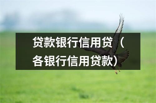 贷款银行信用贷（各银行信用贷款）