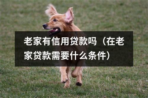 老家有信用贷款吗（在老家贷款需要什么条件）