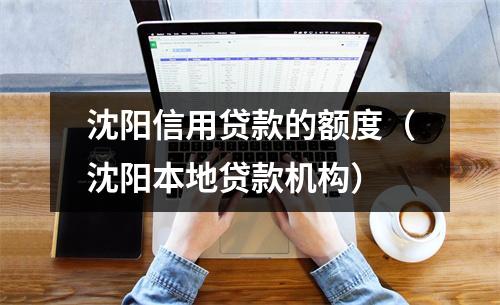 沈阳信用贷款的额度(沈阳本地贷款机构)