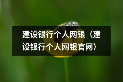 建设银行个人网银（建设银行个人网银官网）